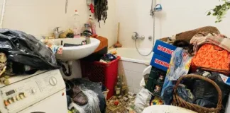 Entrümpelung Messie Wohnung Hanau